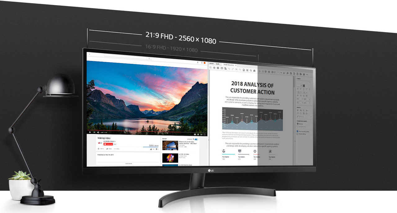 LG UltraWide　29WL500-b 29